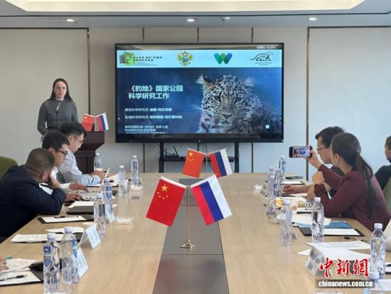 ���_˹���ҷ������o(h��)�|������(j��ng)�(y��n)�������� �z