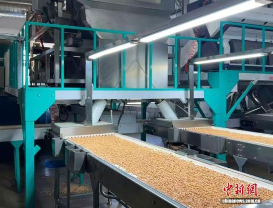 �������a(ch��n)����(�L�����P(gu��n)���D)