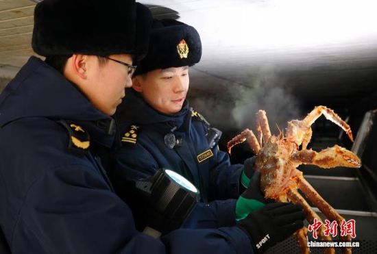 �L�����P(gu��n)���٬q�����P(gu��n)�P(gu��n)�T���M�ڵ���з�_չ��򞹤�����̽��V �z