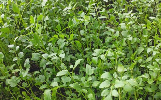 ���D�hί������/���D